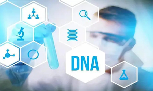 保定怎么私下做DNA鉴定,保定亲子鉴定需要什么流程