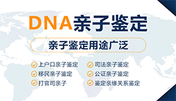 湖南省怎么样选择正规的DNA鉴定机构，湖南省正规亲子鉴定价格
