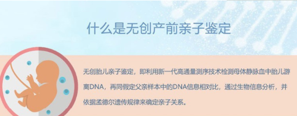 枣庄怀孕了需要如何做DNA亲子鉴定,枣庄胎儿办理亲子鉴定具体的流程