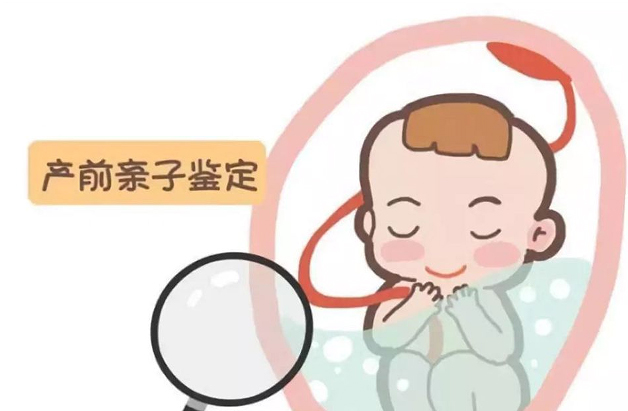 贵州省孕期亲子鉴定需要怎么做,