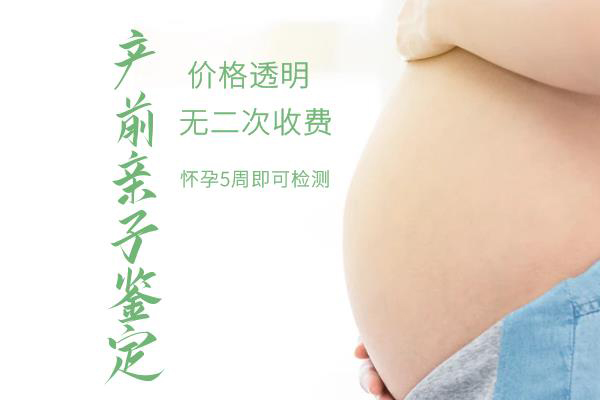 在西藏区怀孕几个月怎么做胎儿亲子鉴定,在西藏区刚怀孕办理亲子鉴定准确吗