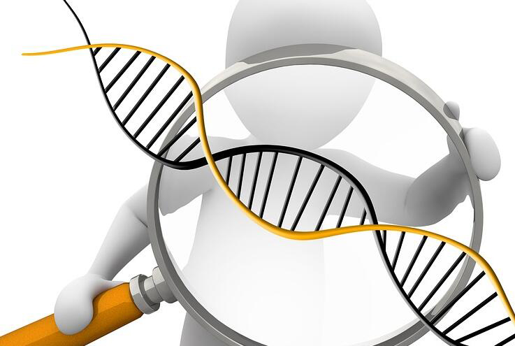 邯郸DNA鉴定一般多久出结果,邯郸个人亲子鉴定办理条件